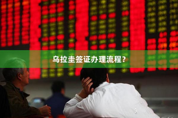 乌拉圭签证办理流程？