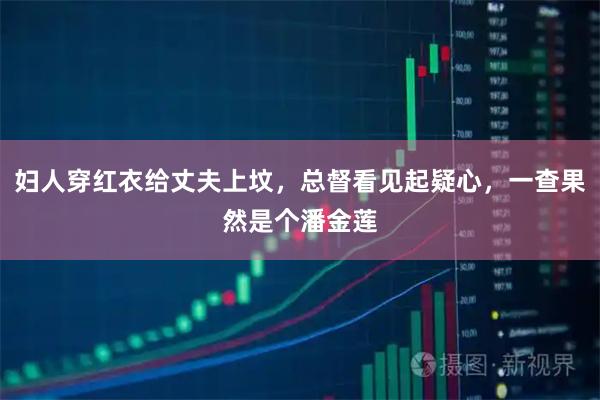 妇人穿红衣给丈夫上坟,总督看见起疑心,一查果然是个潘金莲