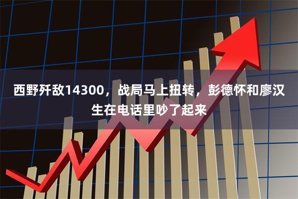 西野歼敌14300，战局马上扭转，彭德怀和廖汉生在电话里吵了起来