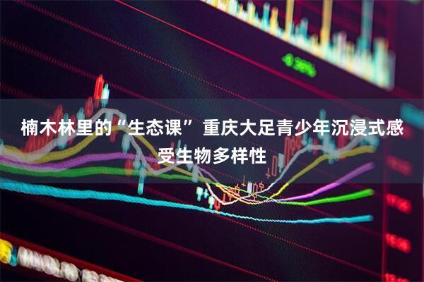 楠木林里的“生态课” 重庆大足青少年沉浸式感受生物多样性