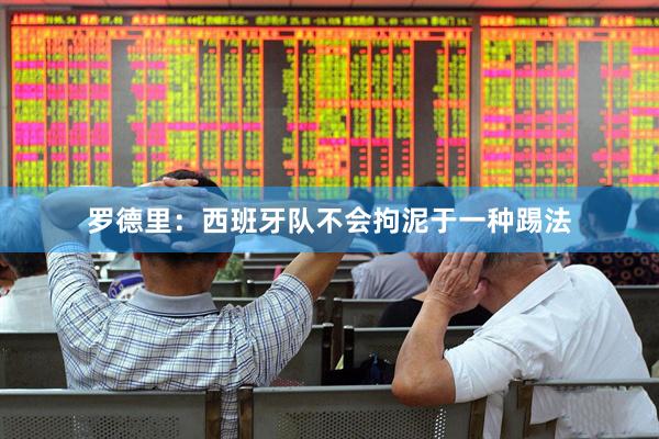 罗德里:西班牙队不会拘泥于一种踢法